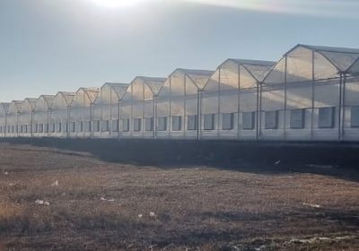 Polietilen Topraksız Sera – Gül Serası